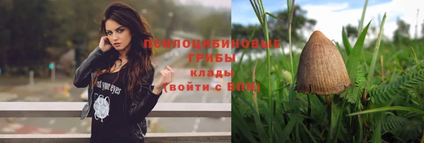 бутират Алзамай