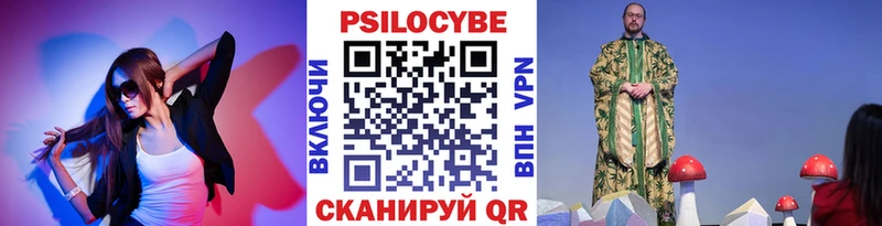 купить наркотик  Дмитров  Галлюциногенные грибы прущие грибы 