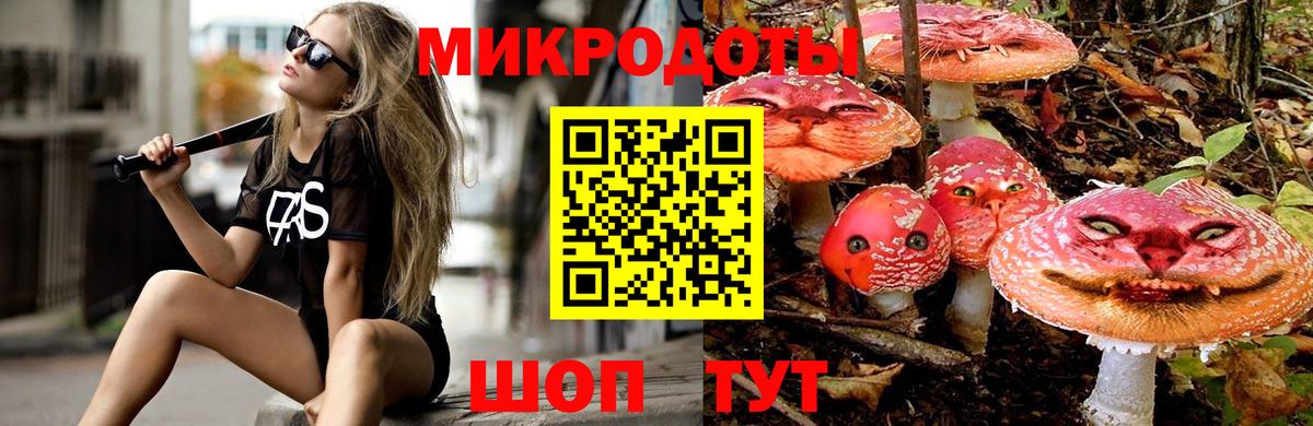 Псилоцибиновые грибы Psilocybe Дмитров